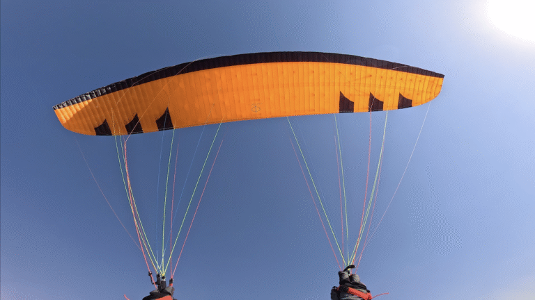 Maestro 3 12 and Maestro 3 Light 19 PHI Maestro 3 21